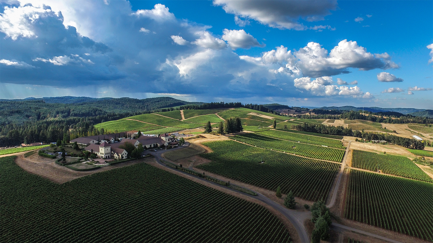 King Estate Winery Eugene, OR River Song Cohousing